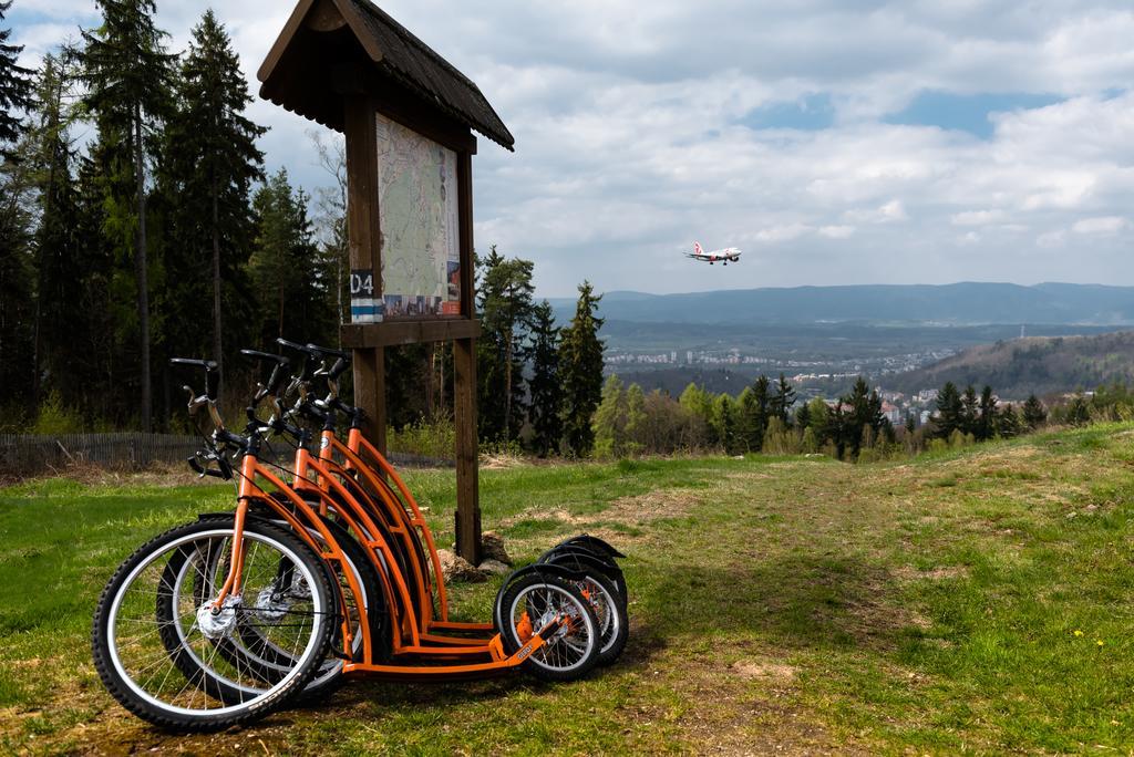 Chalet Veitsberg-Vitkova Hora Hotell Karlovy Vary Eksteriør bilde